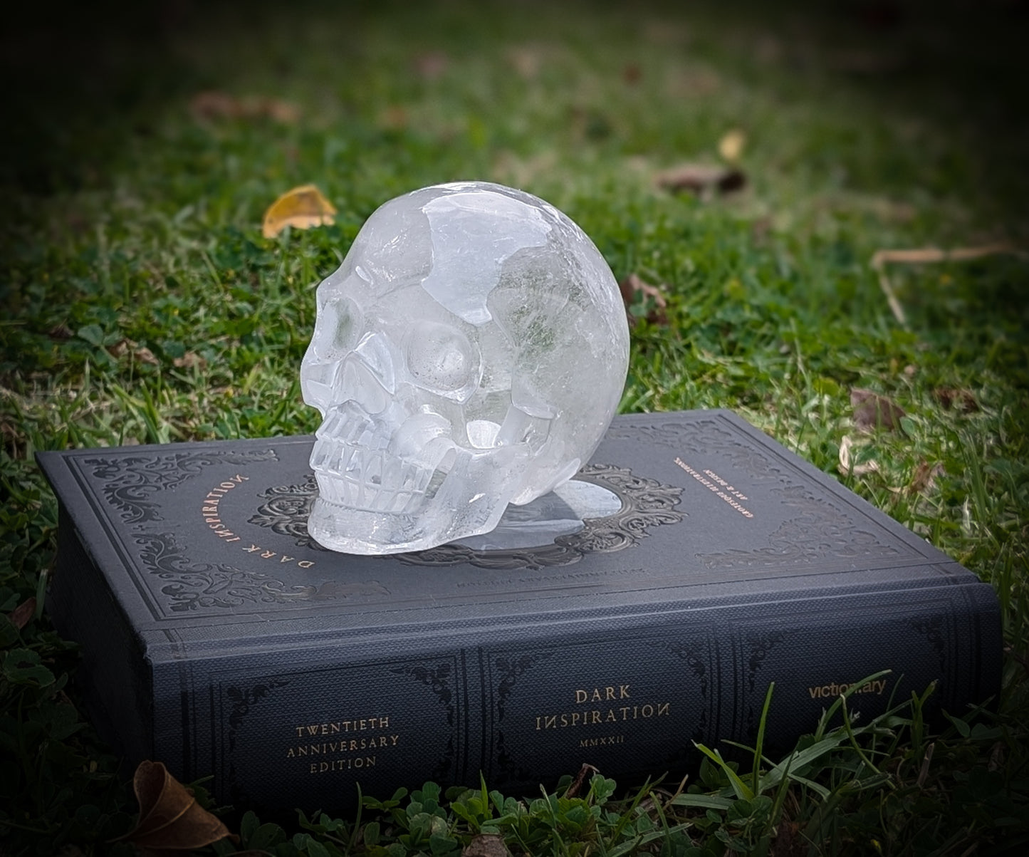 Clear Quartz Skull