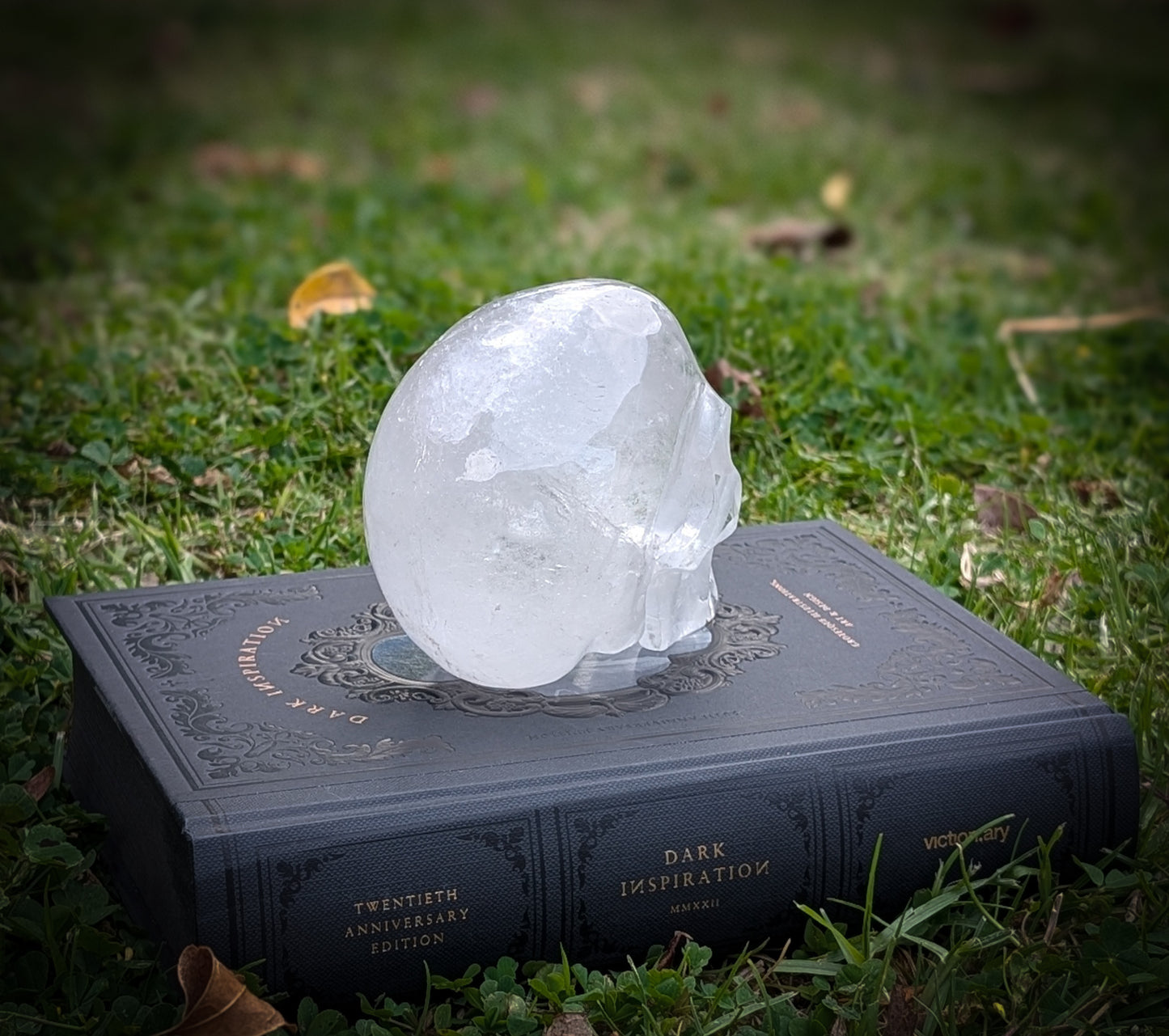 Clear Quartz Skull