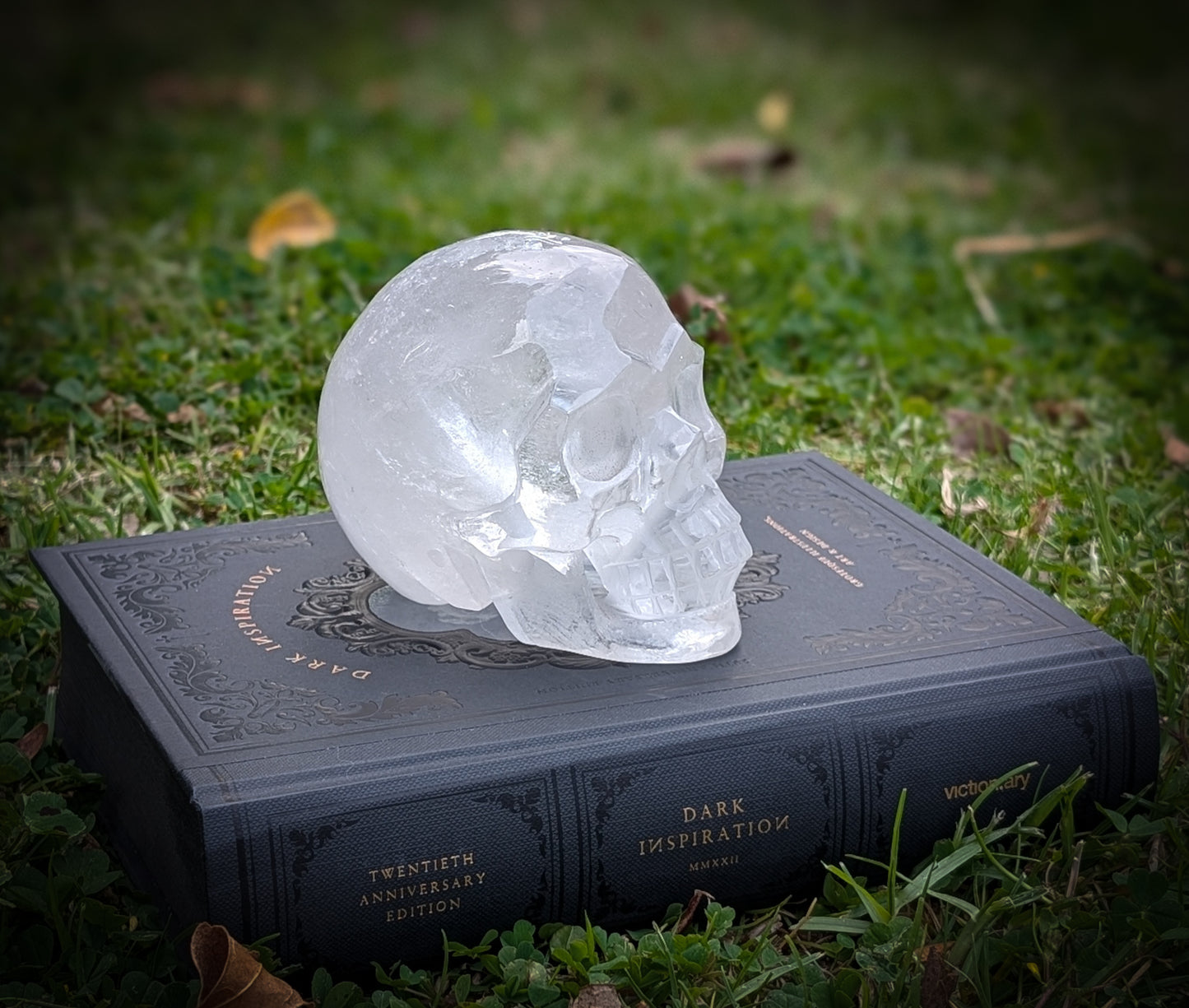 Clear Quartz Skull