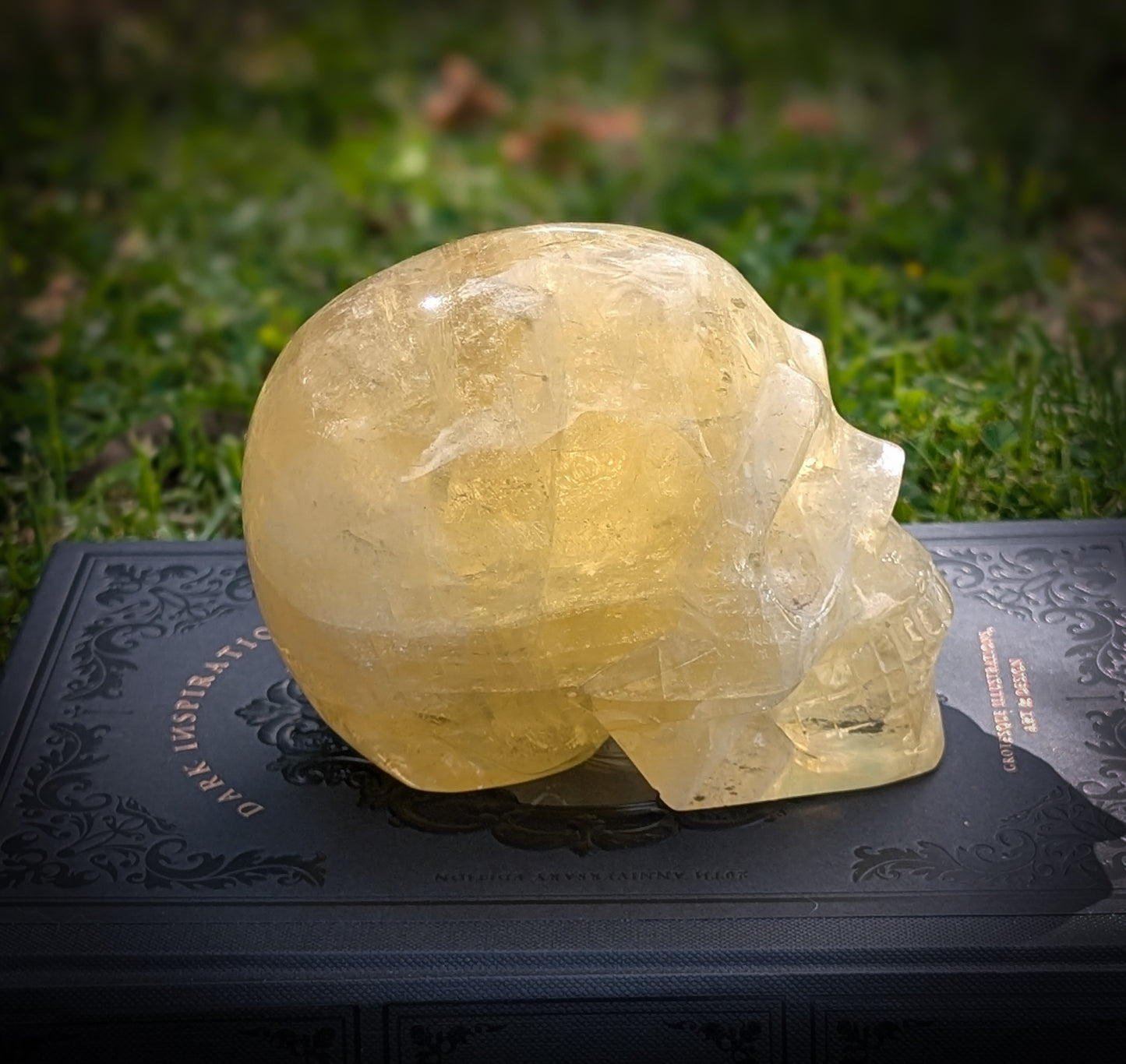 Citrine Skull